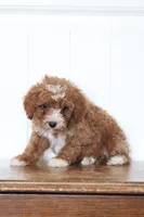 processed/fbaf6101-8077-4192-9a78-ef919eade74c/listing/c540b00f-9363-479d-9b75-e3a1b5d8793a/def90796-343a-441a-9792-cd46ad18adad