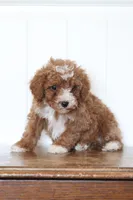 processed/fbaf6101-8077-4192-9a78-ef919eade74c/listing/c540b00f-9363-479d-9b75-e3a1b5d8793a/ed6360b6-f2e5-4afe-8669-5786e392bee8