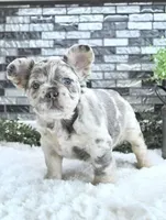 processed/fbb1a911-89a1-43b1-8c02-18477c0362d9/facility/977d7c21-af8e-47c5-8315-08c907fbcba0