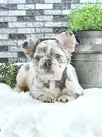 processed/fbb1a911-89a1-43b1-8c02-18477c0362d9/facility/b79c74ea-20e4-4bc1-b1cb-21f53bd8c79a