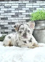 processed/fbb1a911-89a1-43b1-8c02-18477c0362d9/facility/e1bbfbcf-3b5f-4db2-b14e-e09561cee1b4