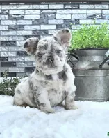 processed/fbb1a911-89a1-43b1-8c02-18477c0362d9/facility/ed1b08e0-2320-4582-8b1c-a141236f3c4f