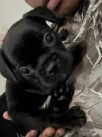 processed/fbb1c475-11ce-49c9-87ee-1bd520aa294d/listing/151c7f89-e229-429f-8d18-84a4fdcc54f6/0e35759f-b095-4799-bc0c-7b03a7c8fa74