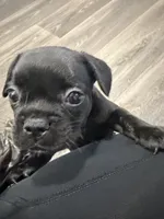 processed/fbb1c475-11ce-49c9-87ee-1bd520aa294d/listing/151c7f89-e229-429f-8d18-84a4fdcc54f6/3b62c858-b7a2-4002-bbfe-50cf7a620901