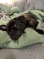 processed/fbb1c475-11ce-49c9-87ee-1bd520aa294d/listing/151c7f89-e229-429f-8d18-84a4fdcc54f6/5a8ebc6c-dd83-4838-a487-3554529fd303