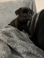 processed/fbb1c475-11ce-49c9-87ee-1bd520aa294d/listing/151c7f89-e229-429f-8d18-84a4fdcc54f6/9ed8235c-875b-4d8a-90cb-8339b14146ec