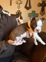 processed/fbb489b0-e552-413c-97b0-bddf9405da61/listing/40cda782-6bb6-4c7f-9224-16cba350396c/34a75bd0-afb8-4c8a-b2e4-3dc5e80f1932