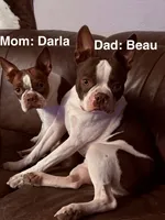 processed/fbb489b0-e552-413c-97b0-bddf9405da61/listing/40cda782-6bb6-4c7f-9224-16cba350396c/511709c0-718b-4e3b-a445-6dc2ace3e654