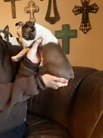 processed/fbb489b0-e552-413c-97b0-bddf9405da61/listing/40cda782-6bb6-4c7f-9224-16cba350396c/5b19b2c4-d90c-465f-b1cf-398b2374e41f