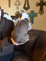 processed/fbb489b0-e552-413c-97b0-bddf9405da61/listing/40cda782-6bb6-4c7f-9224-16cba350396c/afd58dad-77c8-4cbe-aaf0-828229e13e46