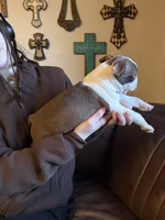 processed/fbb489b0-e552-413c-97b0-bddf9405da61/listing/a20321c6-ebac-4e5c-b20c-6c54d9a477d4/04fdfe66-c2ed-46c6-8da4-42f438be7112