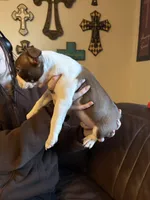 processed/fbb489b0-e552-413c-97b0-bddf9405da61/listing/a20321c6-ebac-4e5c-b20c-6c54d9a477d4/444567f9-3896-42c5-a810-6ac4ee7f5561