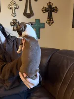 processed/fbb489b0-e552-413c-97b0-bddf9405da61/listing/e8cbfa1f-feb3-4c0d-a771-6ca82ce95bb1/002b8bbb-594b-45aa-be2f-55a03839a657