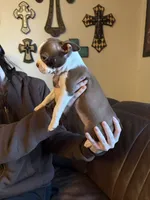 processed/fbb489b0-e552-413c-97b0-bddf9405da61/listing/e8cbfa1f-feb3-4c0d-a771-6ca82ce95bb1/786404fd-76ed-4281-a620-c656f3cea286