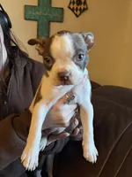 processed/fbb489b0-e552-413c-97b0-bddf9405da61/listing/e8cbfa1f-feb3-4c0d-a771-6ca82ce95bb1/b706c2fa-39ea-4dda-8ede-58cdab58bd39