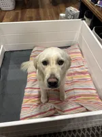 processed/fbb80ba6-498b-4c0e-93d4-057f5b2ed238/facility/18113867-0b0d-4ee8-86f2-18b2b97a9e3d