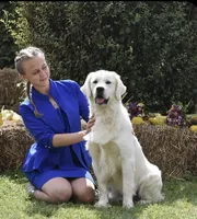 Female puppy available , a female English Cream Golden Retriever for sale in Bloomfield, IA – Photo 6 of 10