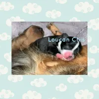 processed/fbca8fa7-6a69-40e4-a7c3-520029f57e4c/facility/24792dda-af85-4186-980a-e1c5c3a91b2c