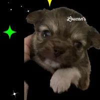 processed/fbca8fa7-6a69-40e4-a7c3-520029f57e4c/facility/402d2fb2-c179-42c8-88af-9b8ca625c334