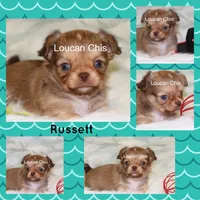 processed/fbca8fa7-6a69-40e4-a7c3-520029f57e4c/facility/60e3b0e4-b495-41c9-b6a5-f32e0522e748