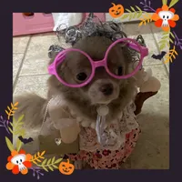 processed/fbca8fa7-6a69-40e4-a7c3-520029f57e4c/facility/716d76e0-64a9-4536-838b-dd7de1c2e4bc