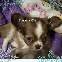 processed/fbca8fa7-6a69-40e4-a7c3-520029f57e4c/facility/a0cfe9cb-eae6-4682-9efc-63738457d22d