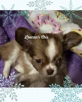 processed/fbca8fa7-6a69-40e4-a7c3-520029f57e4c/facility/a0cfe9cb-eae6-4682-9efc-63738457d22d