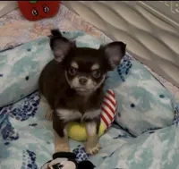 processed/fbca8fa7-6a69-40e4-a7c3-520029f57e4c/listing/6ef75459-041f-4bae-9eaf-4e702a5bf64a/20ce54cc-af88-412c-98f6-8b3809cd8564