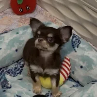 processed/fbca8fa7-6a69-40e4-a7c3-520029f57e4c/listing/6ef75459-041f-4bae-9eaf-4e702a5bf64a/3158be4d-7e10-445d-a61e-87839c0be7bc