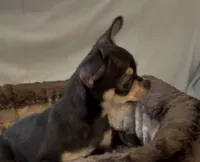 processed/fbca8fa7-6a69-40e4-a7c3-520029f57e4c/listing/87c43c8c-da56-4a2b-9dab-21fc21da7529/09af4438-27f0-4dfb-83e9-a4765f1be1a0