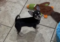 processed/fbca8fa7-6a69-40e4-a7c3-520029f57e4c/listing/87c43c8c-da56-4a2b-9dab-21fc21da7529/2d418226-fa41-47e3-955e-18cad930813f