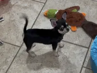 processed/fbca8fa7-6a69-40e4-a7c3-520029f57e4c/listing/87c43c8c-da56-4a2b-9dab-21fc21da7529/d7c240aa-e609-44fa-9fd0-d1541f8f32c3