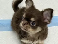 processed/fbca8fa7-6a69-40e4-a7c3-520029f57e4c/listing/8c5003c8-e637-4923-b9f9-11ba6ba66eab/dd7db0b3-33e4-4fe1-916b-87a9d45a8500