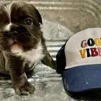 processed/fbd0d25d-1f09-4b78-a316-16a53fe03861/facility/2445d7cd-a0fd-4244-98fe-e6610f88db42