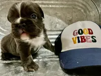 processed/fbd0d25d-1f09-4b78-a316-16a53fe03861/facility/2445d7cd-a0fd-4244-98fe-e6610f88db42