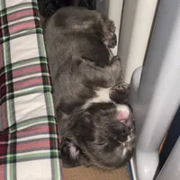 processed/fbd0d25d-1f09-4b78-a316-16a53fe03861/facility/4fad3f00-1581-4130-b309-872d6bfd4fd2