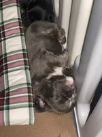 processed/fbd0d25d-1f09-4b78-a316-16a53fe03861/facility/4fad3f00-1581-4130-b309-872d6bfd4fd2