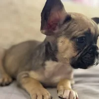 processed/fbd0d25d-1f09-4b78-a316-16a53fe03861/facility/669fd4b8-d517-467b-8f60-5b5ad259e645