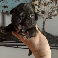 processed/fbd0d25d-1f09-4b78-a316-16a53fe03861/facility/6ee6f2ee-d7f3-40d9-b652-23868b07454d