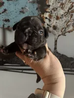 processed/fbd0d25d-1f09-4b78-a316-16a53fe03861/facility/6ee6f2ee-d7f3-40d9-b652-23868b07454d