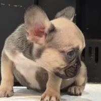 processed/fbd0d25d-1f09-4b78-a316-16a53fe03861/facility/7f7da70b-bd3a-41b4-ba13-3206bb7c1088