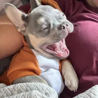 processed/fbd0d25d-1f09-4b78-a316-16a53fe03861/facility/88a218b4-fb80-4c69-9572-9ecbd31ff8c8