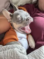 processed/fbd0d25d-1f09-4b78-a316-16a53fe03861/facility/88a218b4-fb80-4c69-9572-9ecbd31ff8c8