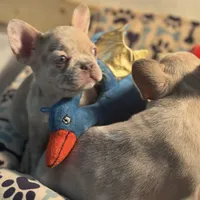 processed/fbd0d25d-1f09-4b78-a316-16a53fe03861/facility/9399da46-d249-4a73-ab74-a743684d147e