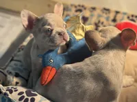 processed/fbd0d25d-1f09-4b78-a316-16a53fe03861/facility/9399da46-d249-4a73-ab74-a743684d147e