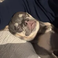 processed/fbd0d25d-1f09-4b78-a316-16a53fe03861/facility/acb96e52-baa4-4fe3-94ed-ed319063eabb