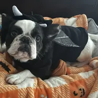 processed/fbd0d25d-1f09-4b78-a316-16a53fe03861/facility/ce41d116-8305-4ad5-9813-0e92dbc8a1fd