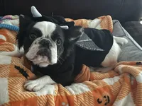 processed/fbd0d25d-1f09-4b78-a316-16a53fe03861/facility/ce41d116-8305-4ad5-9813-0e92dbc8a1fd