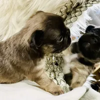 processed/fbd0d25d-1f09-4b78-a316-16a53fe03861/facility/efd27643-97fd-403b-a846-a8c5409ed5d6