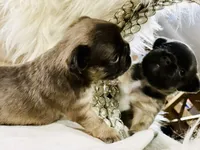 processed/fbd0d25d-1f09-4b78-a316-16a53fe03861/facility/efd27643-97fd-403b-a846-a8c5409ed5d6